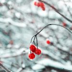 Natus error sit voluptatem accusan tium doloremque