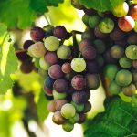 Eaque ipsa quae ab illo inventore veritatis et velit esse